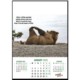 Picture of ANIMAL ANTICS WALL CALENDAR