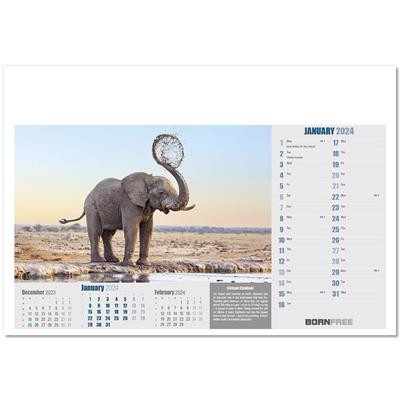 Picture of BORN FREE WALL CALENDAR.