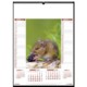 Picture of BRITISH WILDLIFE 6 LEAF WALL CALENDAR