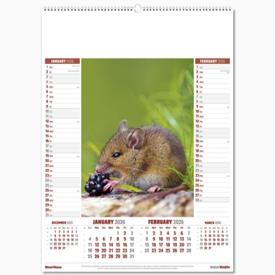 Picture of NATURE NOTES 6 LEAF WALL CALENDAR