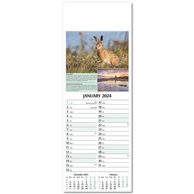 Picture of SLIM NATURES GLORY WALL CALENDAR.