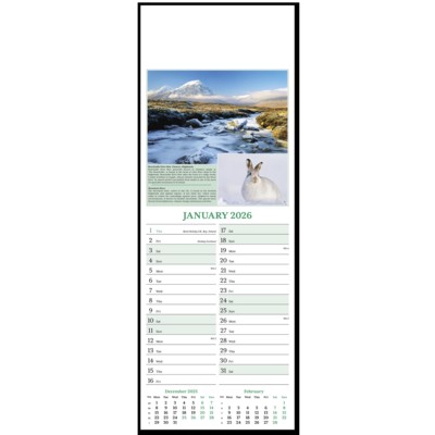 Picture of SLIM NATURES GLORY WALL CALENDAR