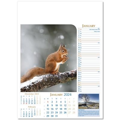 Picture of NOTABLE WILDLIFE WALL CALENDAR