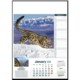 Picture of ENDANGERED SPECIES WALL CALENDAR
