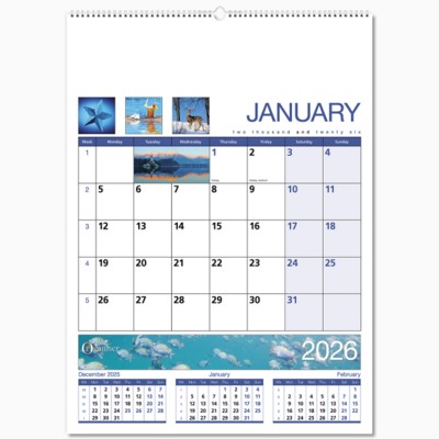 Picture of ORGANIZER CALENDAR