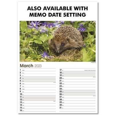 Picture of MEMO WALL CALENDAR