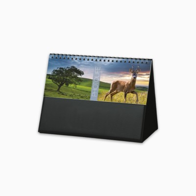 Picture of PHOTO LIFE DESK CALENDAR
