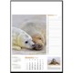 Picture of WILDLIFE IN BRITAIN WALL CALENDAR