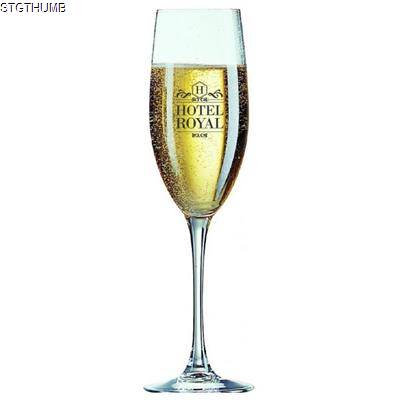 Picture of CABERNET CHAMPAGNE FLUTE GLASS 240ML/8.
