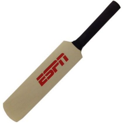 Picture of SIGNATURE CRICKET BAT.