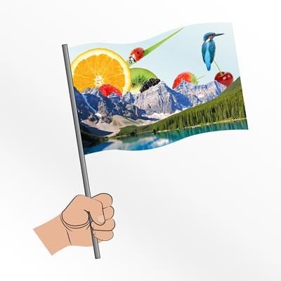 Picture of HAND FLAG