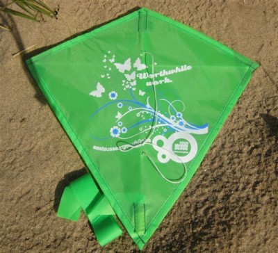 Picture of MINI LOGO KITE.