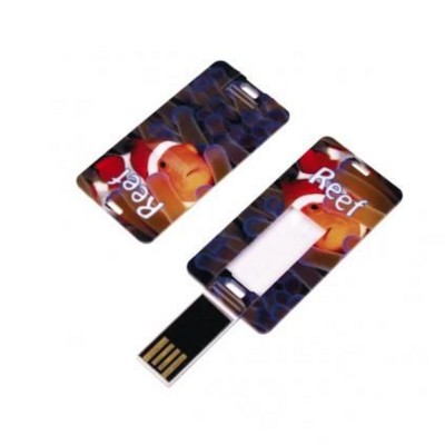 Picture of CARD TAG USB FLASH DRIVE MEMORY STICK