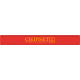 Picture of 30CM & 12 INCH RULER RED