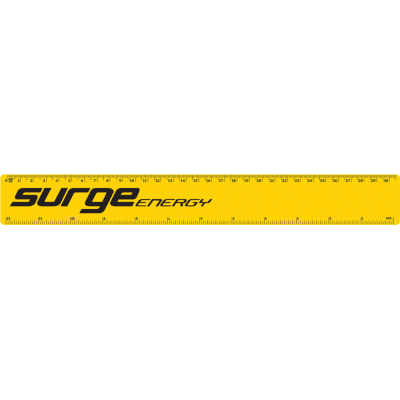 Picture of 30CM & 12 INCH RULER YELLOW