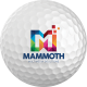 Picture of PROTECH AIR GOLF BALL