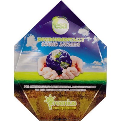 Picture of HEPTAGONAL AWARD in Clear Transparent