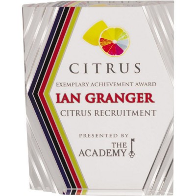 Picture of RECTANGULAR AWARD in Clear Transparent