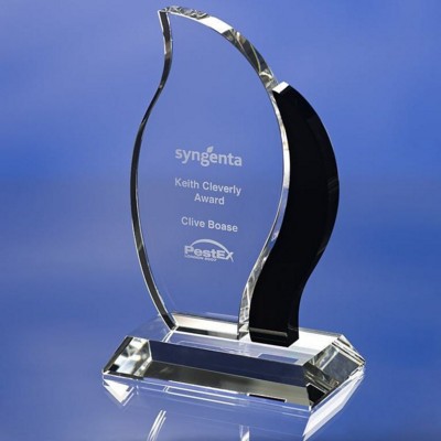 Picture of GLASS FLAME AWARD TROPHY.