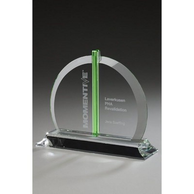 Picture of BELLINGHAM AWARD.