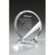 Picture of BEAUFORT AWARD