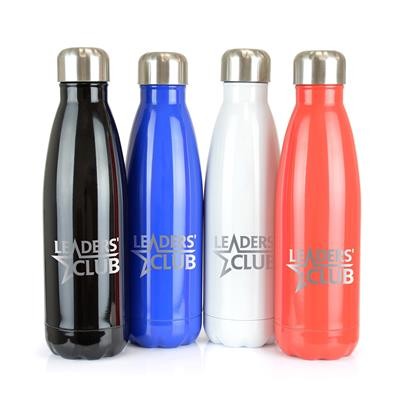 Picture of ASHFORD SHINE STAINLESS STEEL METAL DRINK BOTTLE.