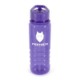 Picture of TARN COLOUR 750ML SPORTS BOTTLE in Purple