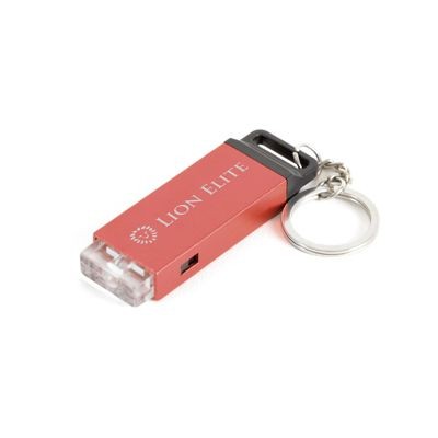Picture of HAXBY TORCH KEYRING