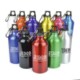 Picture of POLLOCK GLOSSY 550ML SPORTS BOTTLE