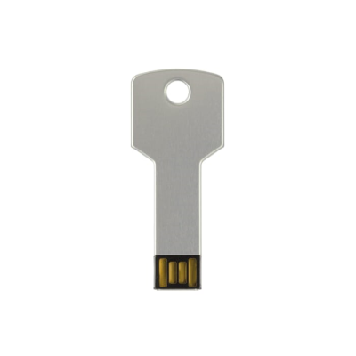 Picture of USB FLASH DRIVE KEY 8GB in Silver