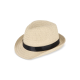 Picture of PLANT STRAW HAT with Colour Band in Black