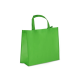 Picture of R-PET CARRY BAG LAMINATED NON-WOVEN 40 x 16 x 35CM 105G & M² in Pale Green