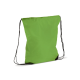 Picture of DRAWSTRING BAG 210T RPET in Pale Green