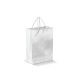 Picture of PAPER BAG SMALL in White