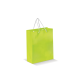 Picture of PAPER BAG MEDIUM in Pale Green