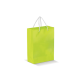 Picture of PAPER BAG LARGE in Pale Green