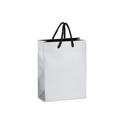 Picture of PAPER GIFT BAG 18 x 8 x 24CM 200G & M² in Silver