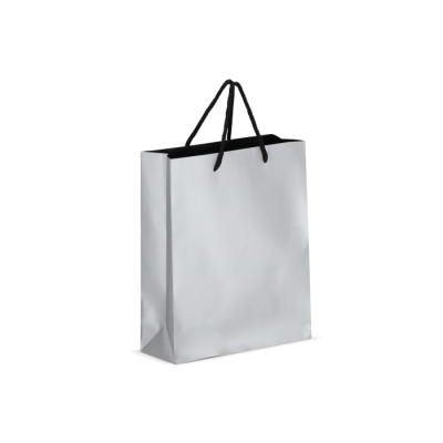 Picture of PAPER GIFT BAG 24 x 10 x 30CM 200G & M² in Silver