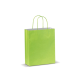 Picture of KRAFT BAG MEDIUM 120G & M² in Pale Green