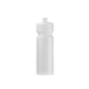 Picture of SPORTS BOTTLE CLASSIC 750ML in Clear Transparent