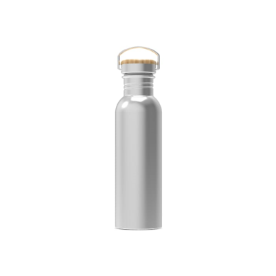 Picture of WATER BOTTLE ASHTON 750ML in Silver