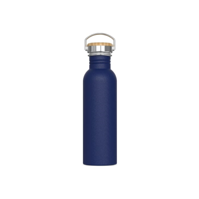 Picture of WATER BOTTLE ASHTON 750ML in Dark Blue