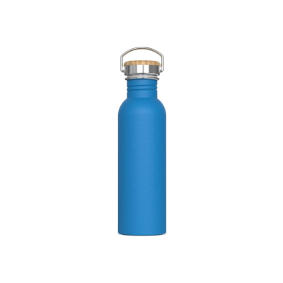 Picture of WATER BOTTLE ASHTON 750ML in Light Blue
