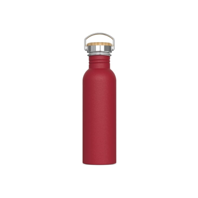 Picture of WATER BOTTLE ASHTON 750ML in Dark Red