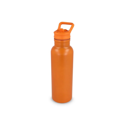 Picture of DARIO THERMO BOTTLE 500ML in Orange