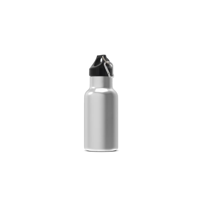 Picture of THERMO BOTTLE LENNOX 350ML in Silver