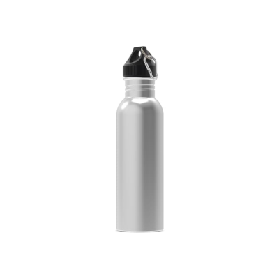 Picture of WATER BOTTLE LENNOX 750ML in Silver