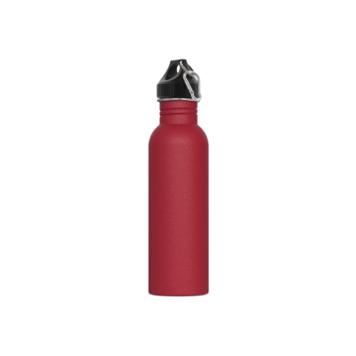 Picture of WATER BOTTLE LENNOX 750ML in Dark Red