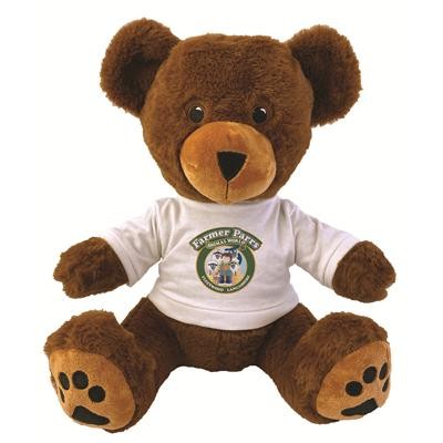 Picture of 17 INCH GEORGE BEAR AND TEE SHIRT