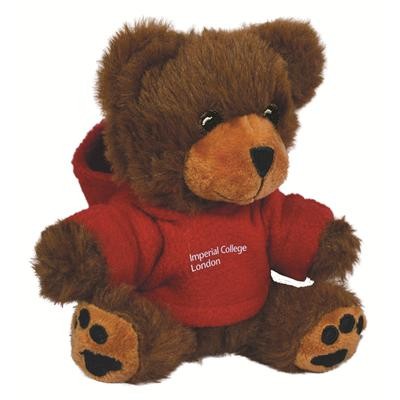 Picture of 5 INCH GEORGE BEAR AND HOODED HOODY